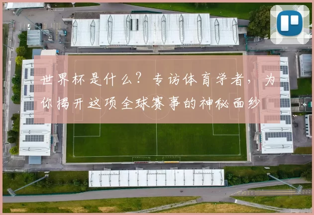 世界杯是什么？专访体育学者，为你揭开这项全球赛事的神秘面纱
