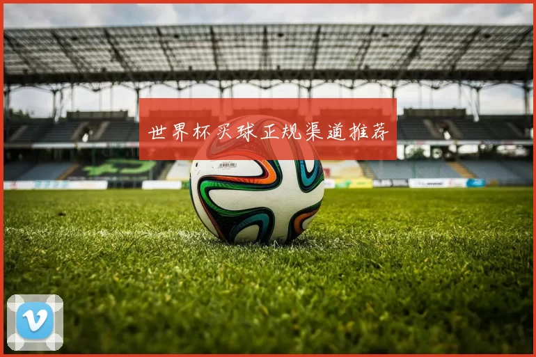 世界杯买球正规渠道推荐