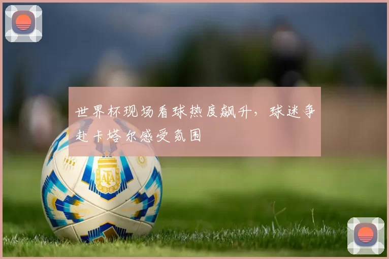 世界杯现场看球热度飙升,球迷争赴卡塔尔感受氛围