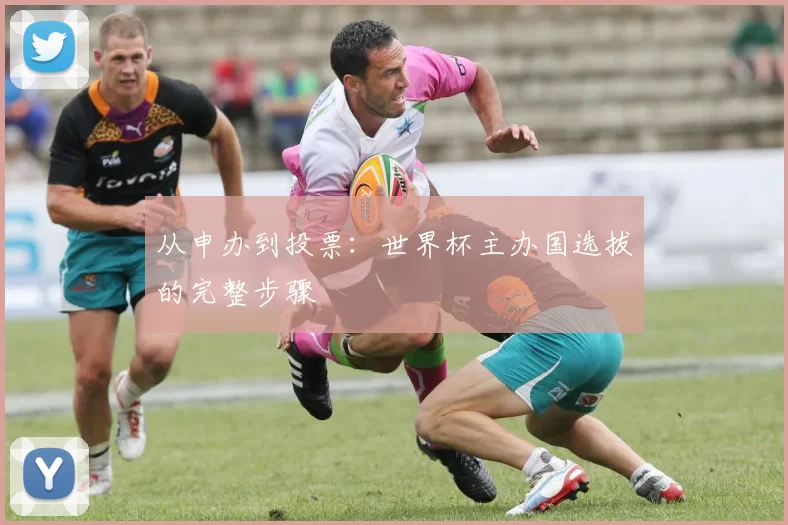 从申办到投票:世界杯主办国选拔的完整步骤