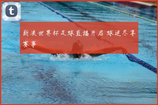 新浪世界杯足球直播开启 球迷尽享赛事