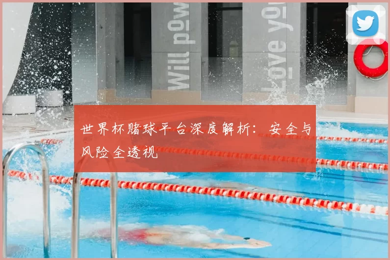 世界杯赌球平台深度解析：安全与风险全透视
