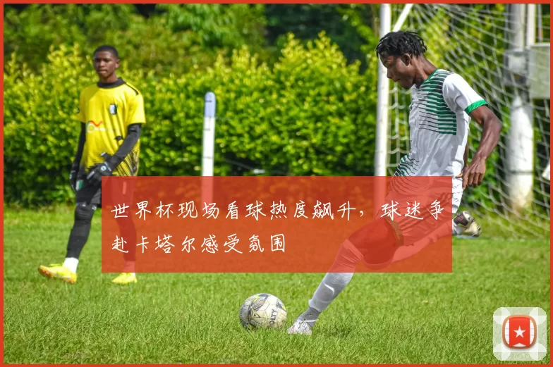 世界杯现场看球热度飙升,球迷争赴卡塔尔感受氛围