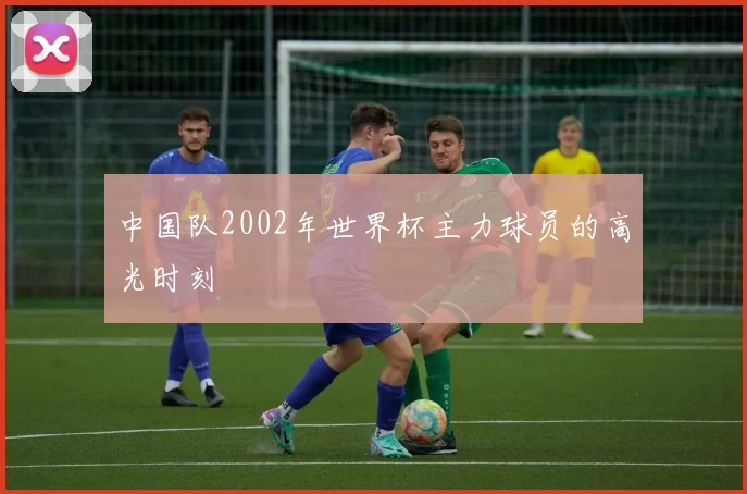 中国队2002年世界杯主力球员的高光时刻