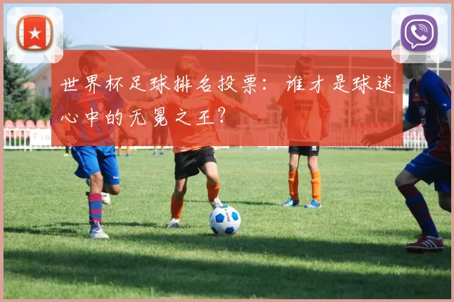 世界杯足球排名投票:谁才是球迷心中的无冕之王?