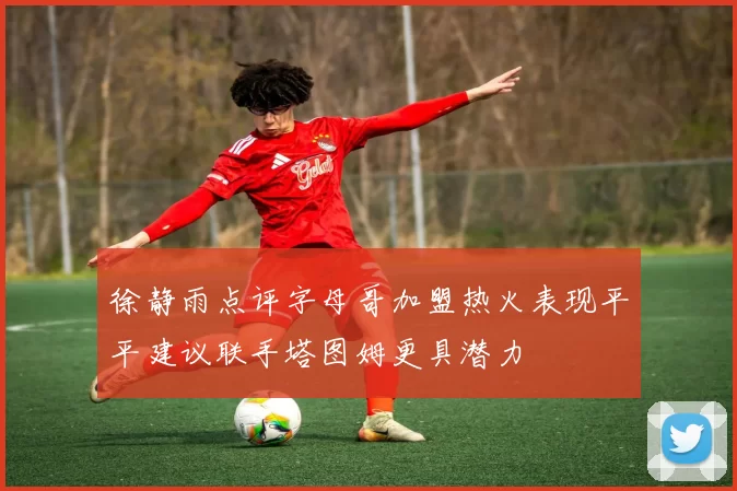 徐静雨点评字母哥加盟热火表现平平建议联手塔图姆更具潜力