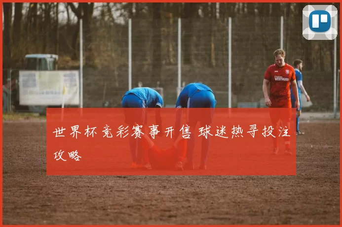 世界杯竞彩赛事开售 球迷热寻投注攻略