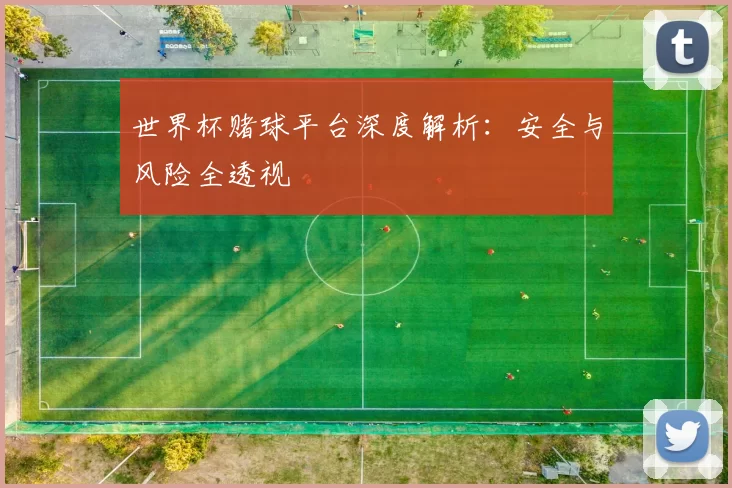 世界杯赌球平台深度解析：安全与风险全透视