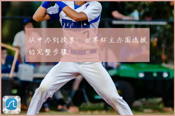 从申办到投票:世界杯主办国选拔的完整步骤