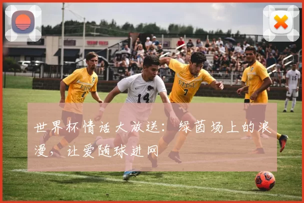 世界杯情话大放送:绿茵场上的浪漫,让爱随球进网